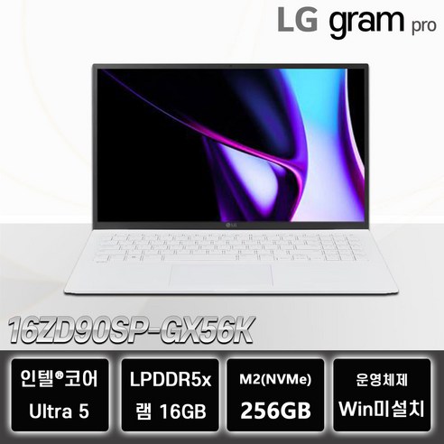 LG 그램 Ultra5 8GB 256GB 윈도우 미