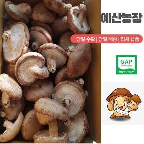 못난이 표고버섯 3kg