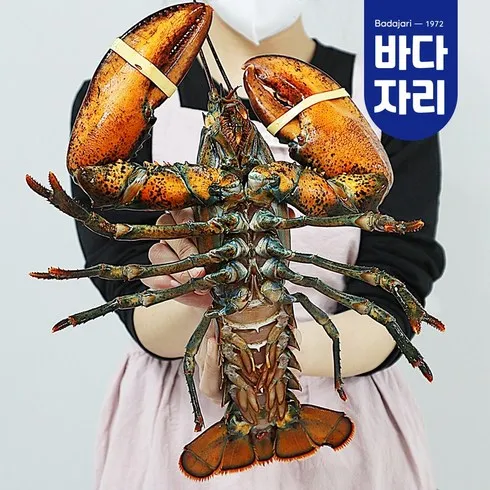 랍스타