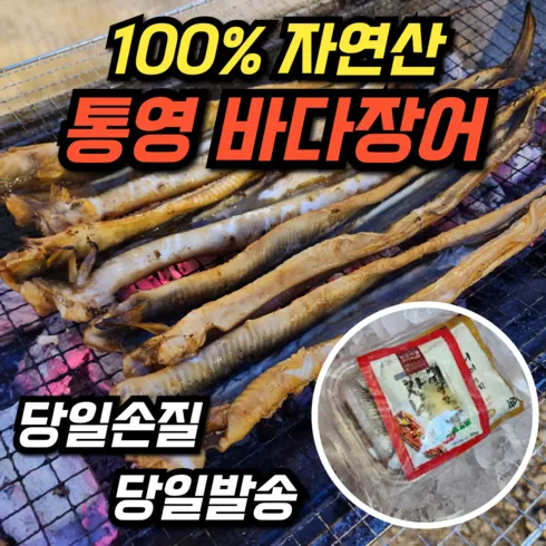 바다장어